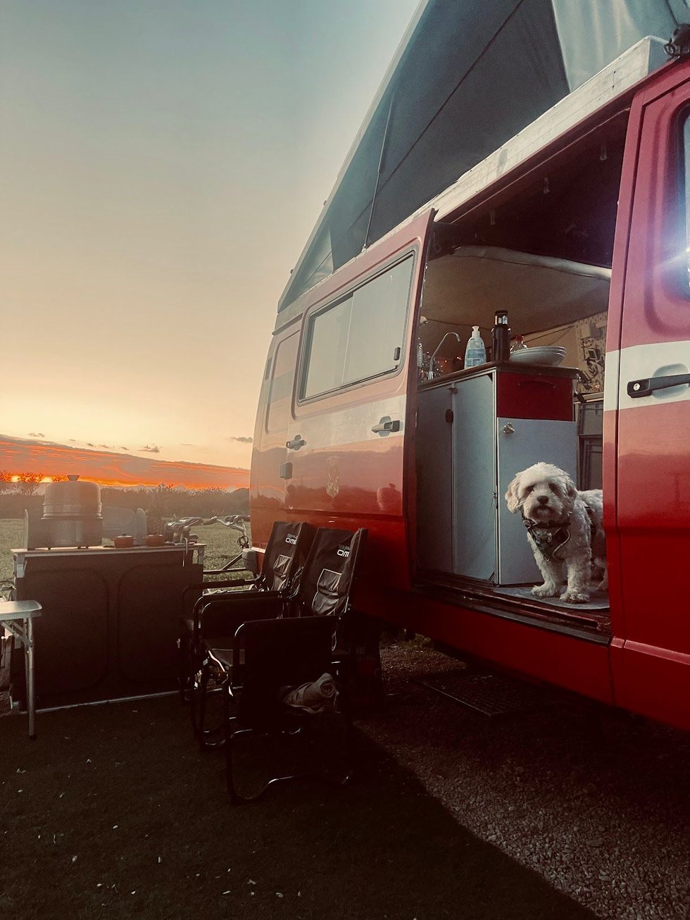 01f6cbb8-51f4-4d77-86e3-b30ed3f23157