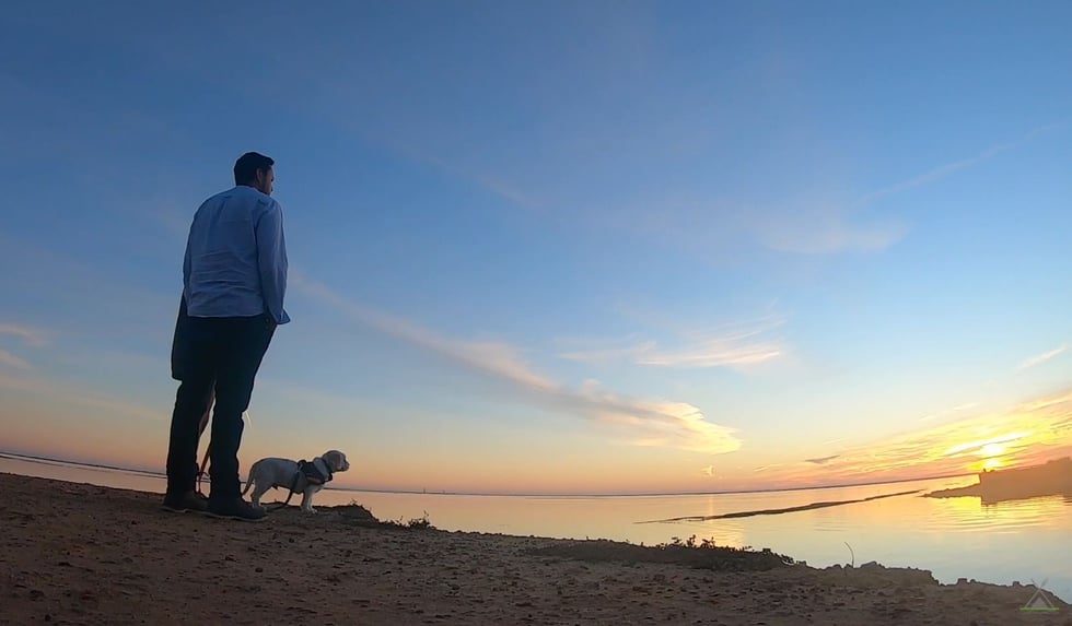 7d39b4cd-90d6-430e-92ac-75e2e3102130 2