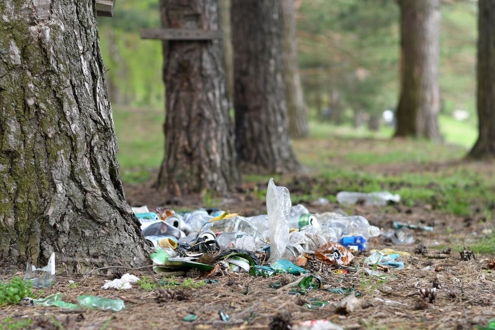 shutterstock_2410583773